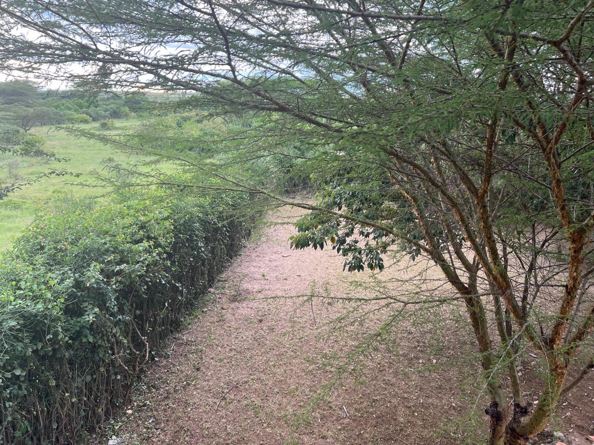 הוילה מסאי מארה Olaloi Mara Camp מראה חיצוני תמונה